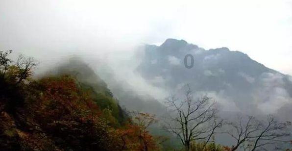 探索未知世界,尽在蜗牛问答平台狗狗听到一点动静就狂吠不止怎么办?