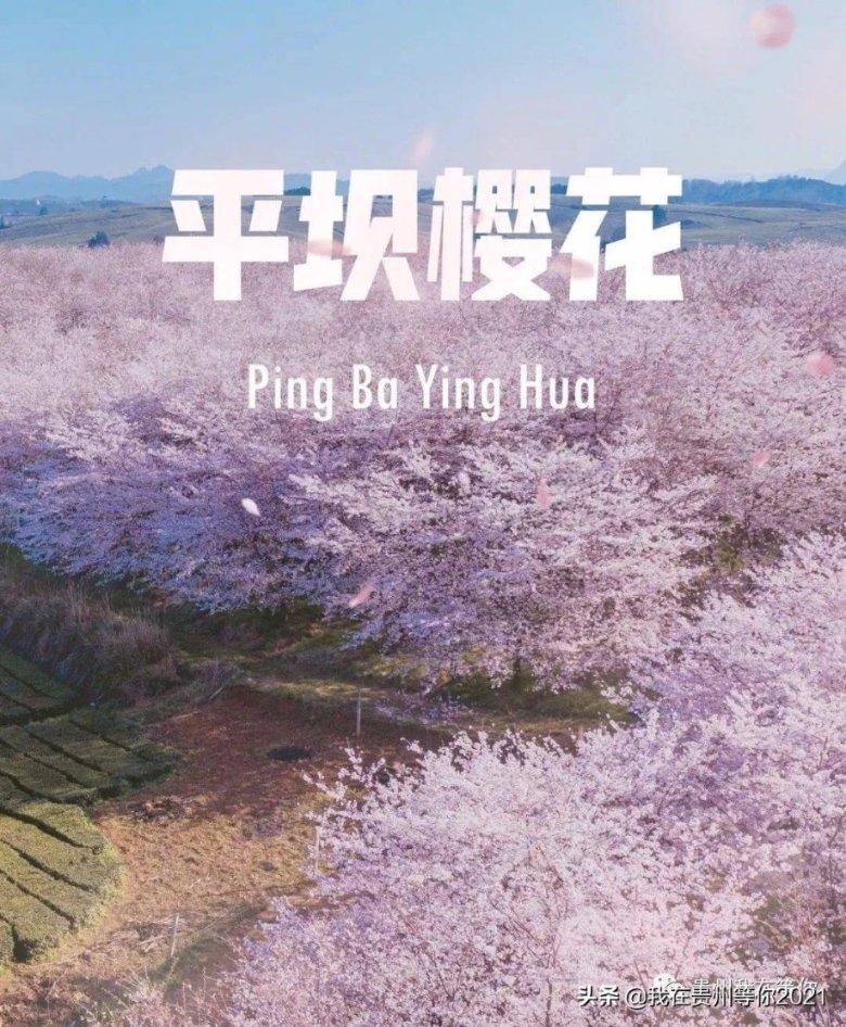 经期前为什么会乳房胀痛？