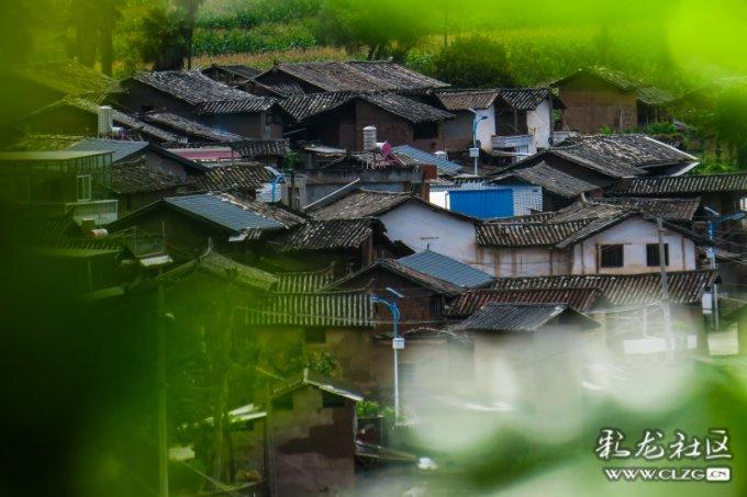 外胚型的人加深长肌肉难，只是没有用对方法！