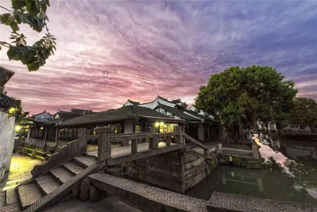 飞扬的方块鸟